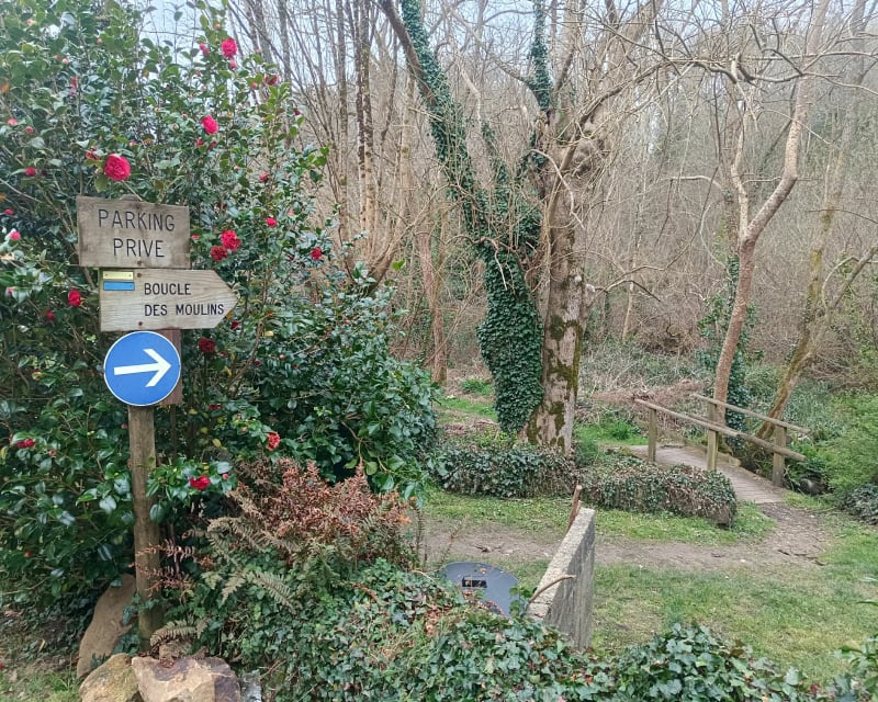 Le haut du Bélon départ de Riec-sur-Bélon - Riec-sur-Bélon