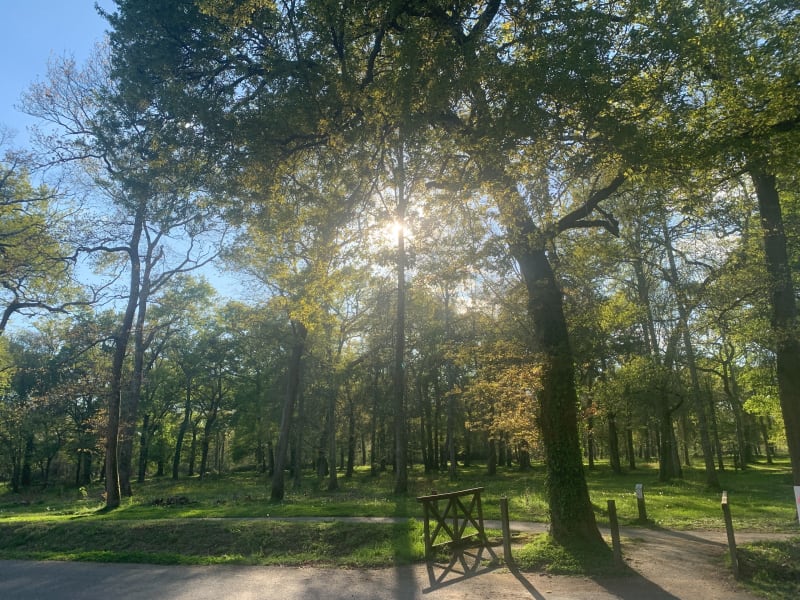 Boucle dans le Bois de Boulogne - Dax