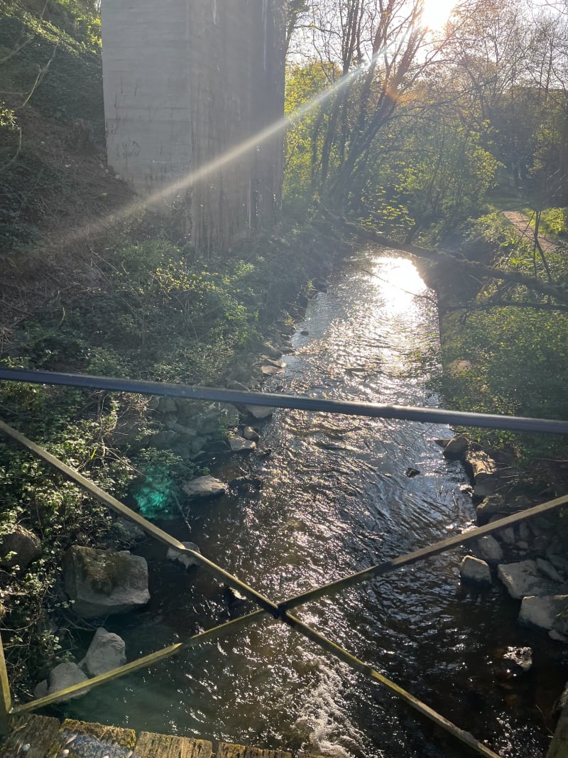 Petite balade à Chemillé - Chemillé-en-Anjou