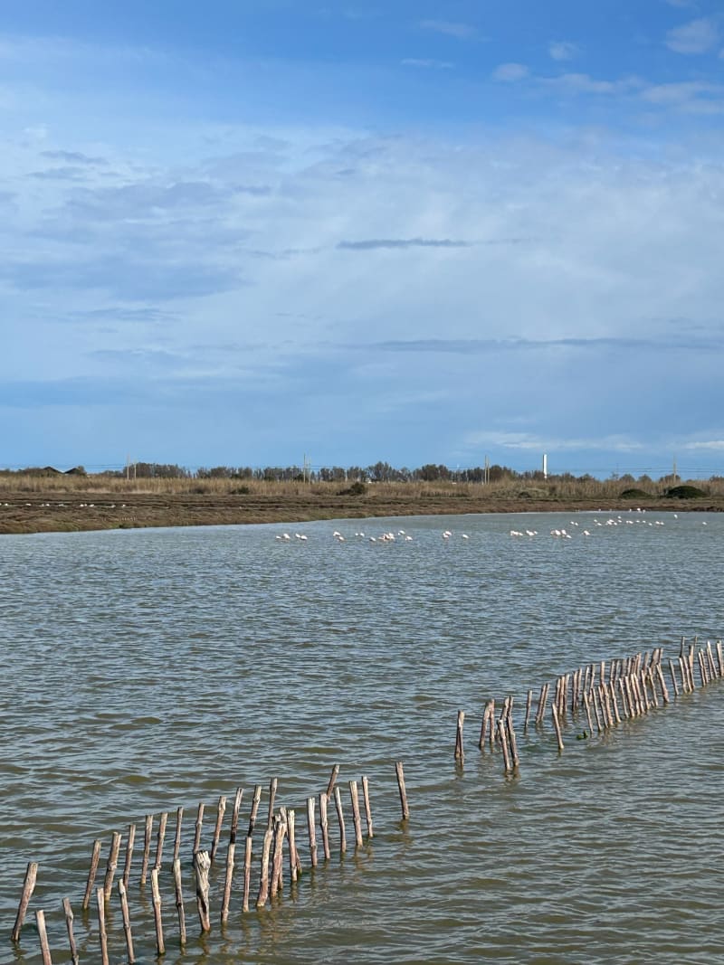 Autour de l'étang de Thau - Sète