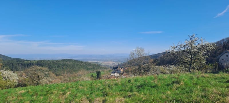 Petite balade avec vue sur un magnifique château à Thannenkirch - Thannenkirch