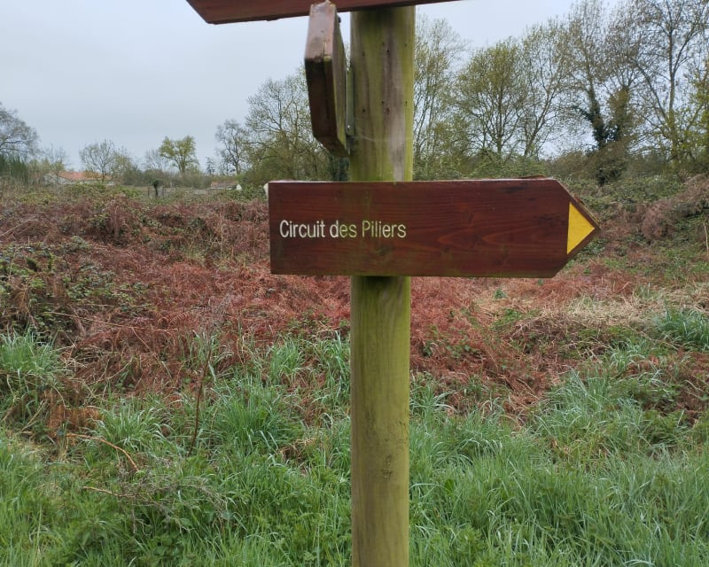 Boucle commune du Landreau - Le Landreau