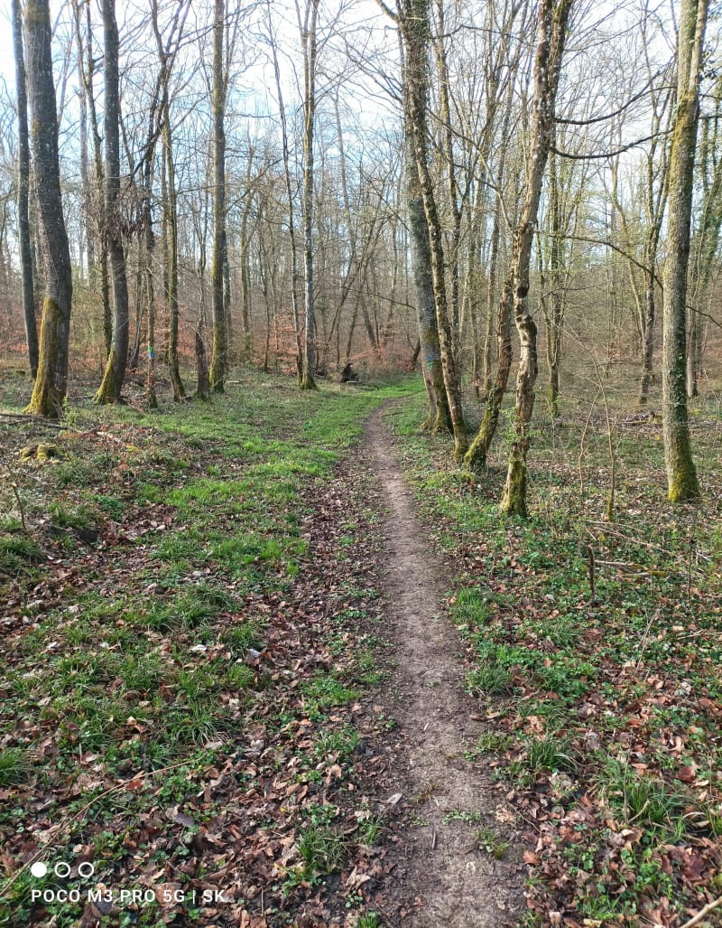 Balade du castor à Sarrebourg - Sarrebourg