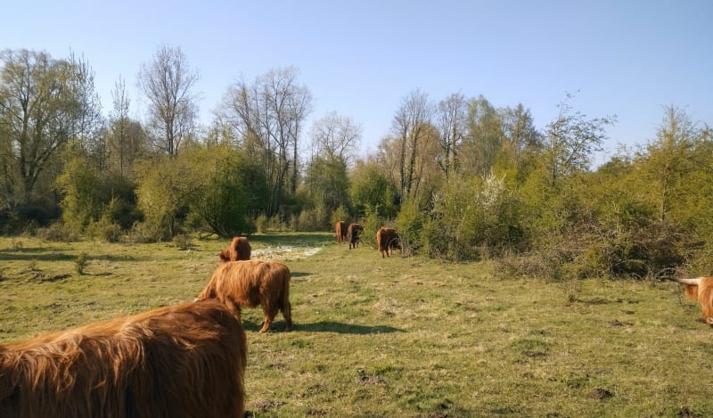 Balade tranquille au fil de l'eau, Aire-sur-la-Lys, par Pont de Thiennes - Aire-sur-la-Lys