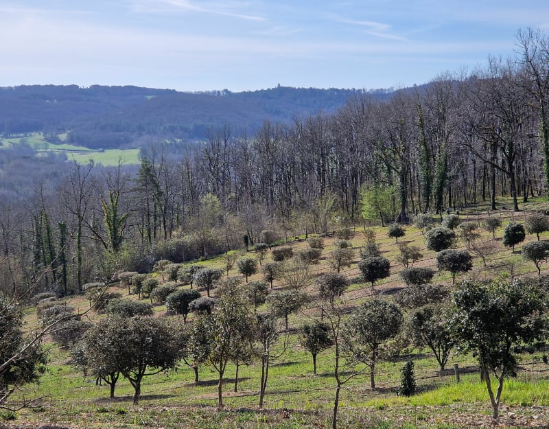Boucle des Farges - Les Farges