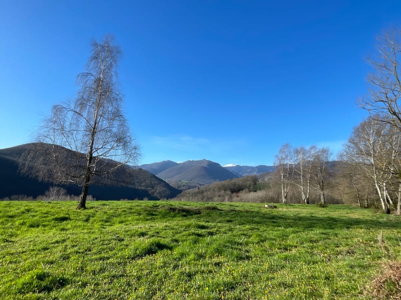 Boucle Montegut - Serre de Bize - Nestier - Montégut