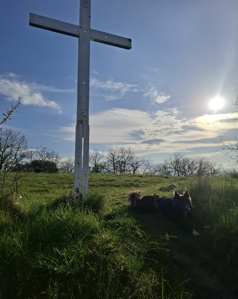 Croix du Pech de Dalou, par la Terrasse - Dalou