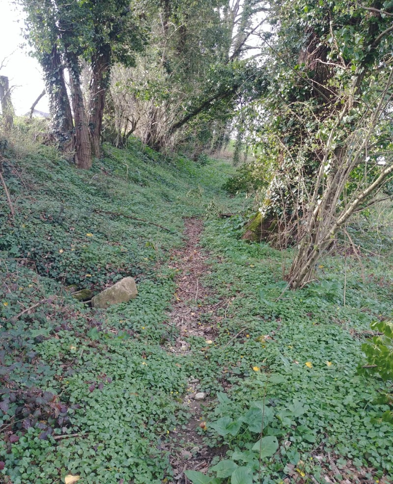 Etangs de Crosagny depuis le plan d'eau de Rumilly - Rumilly
