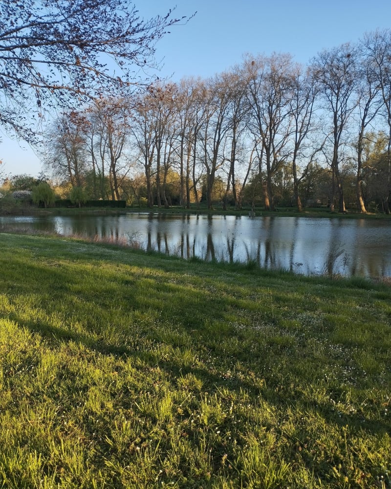 Balade à Fresnes dans les petits chemin et autour de l'étang - Fresnes
