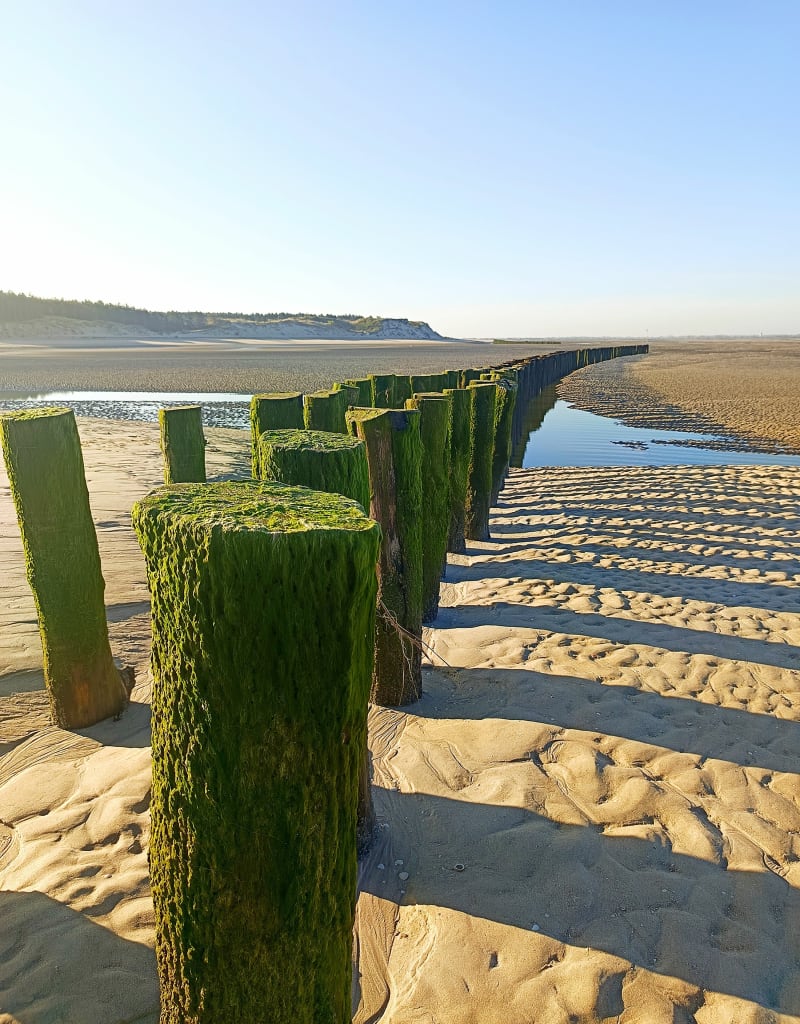 Boucle de la baie d'Authie - Berck