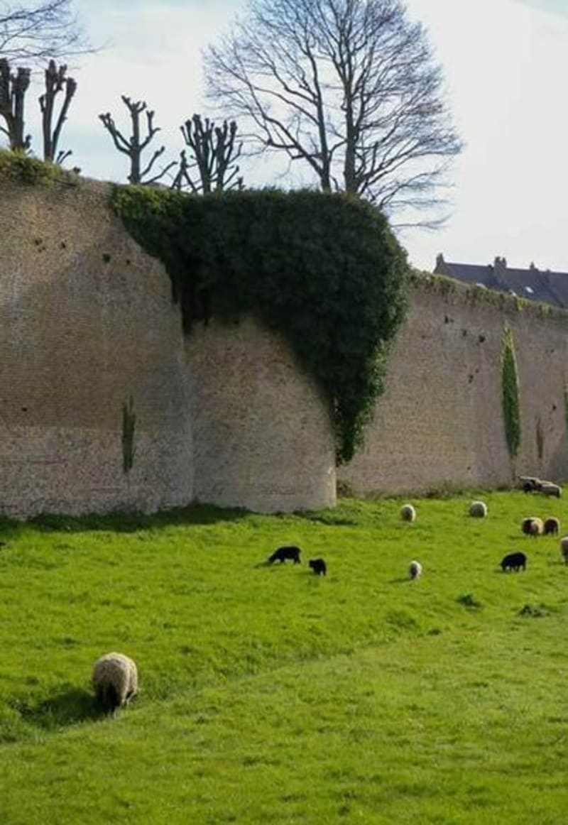 Parcours du coeur Hoymille, par Bergues - Hoymille