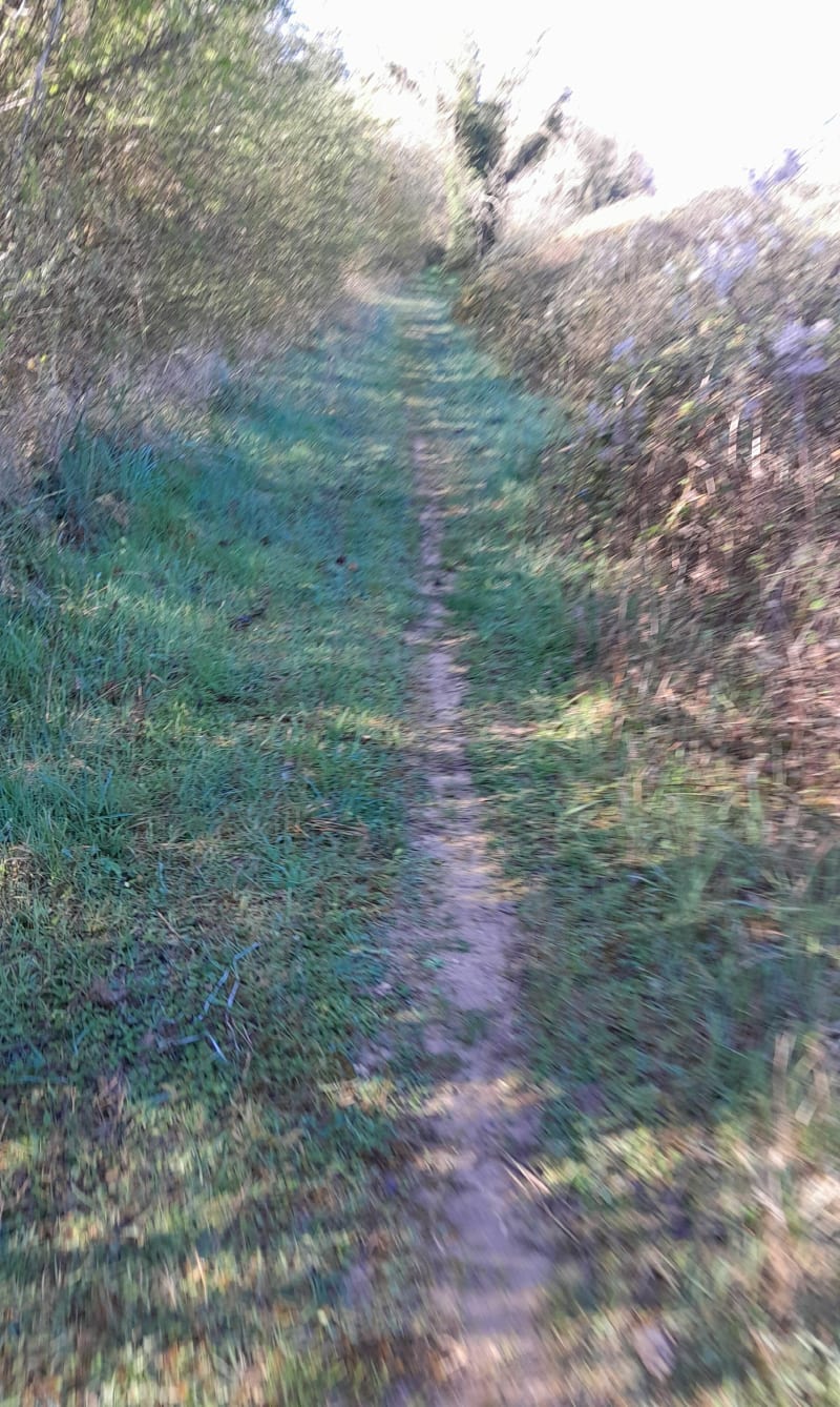 Balade  facile à Sens - Paron