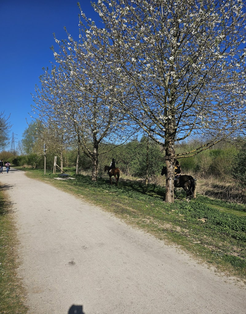 Au fil de l'eau de la Deûle et le Seclin - Noyelles-lès-Seclin