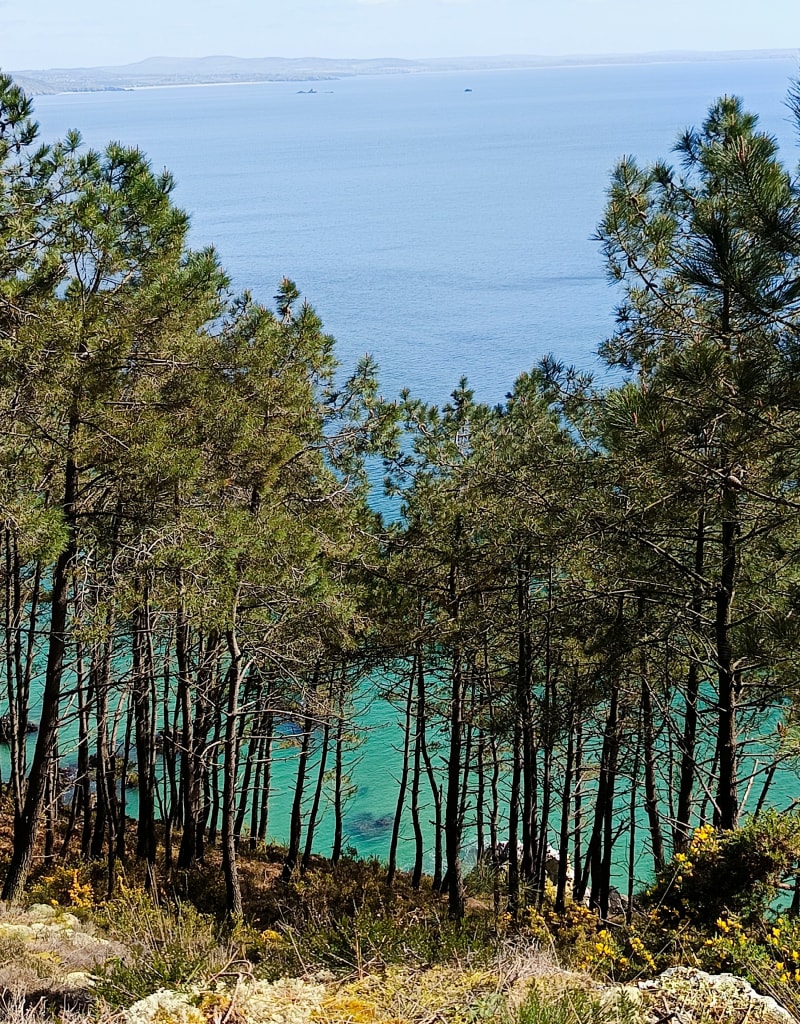 Balade sur les falaises de Morgat - Crozon