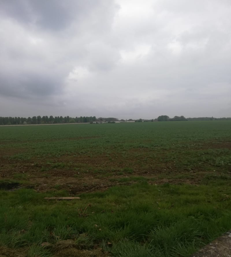 Boucle dans la campagne des Yvelines - Coignières
