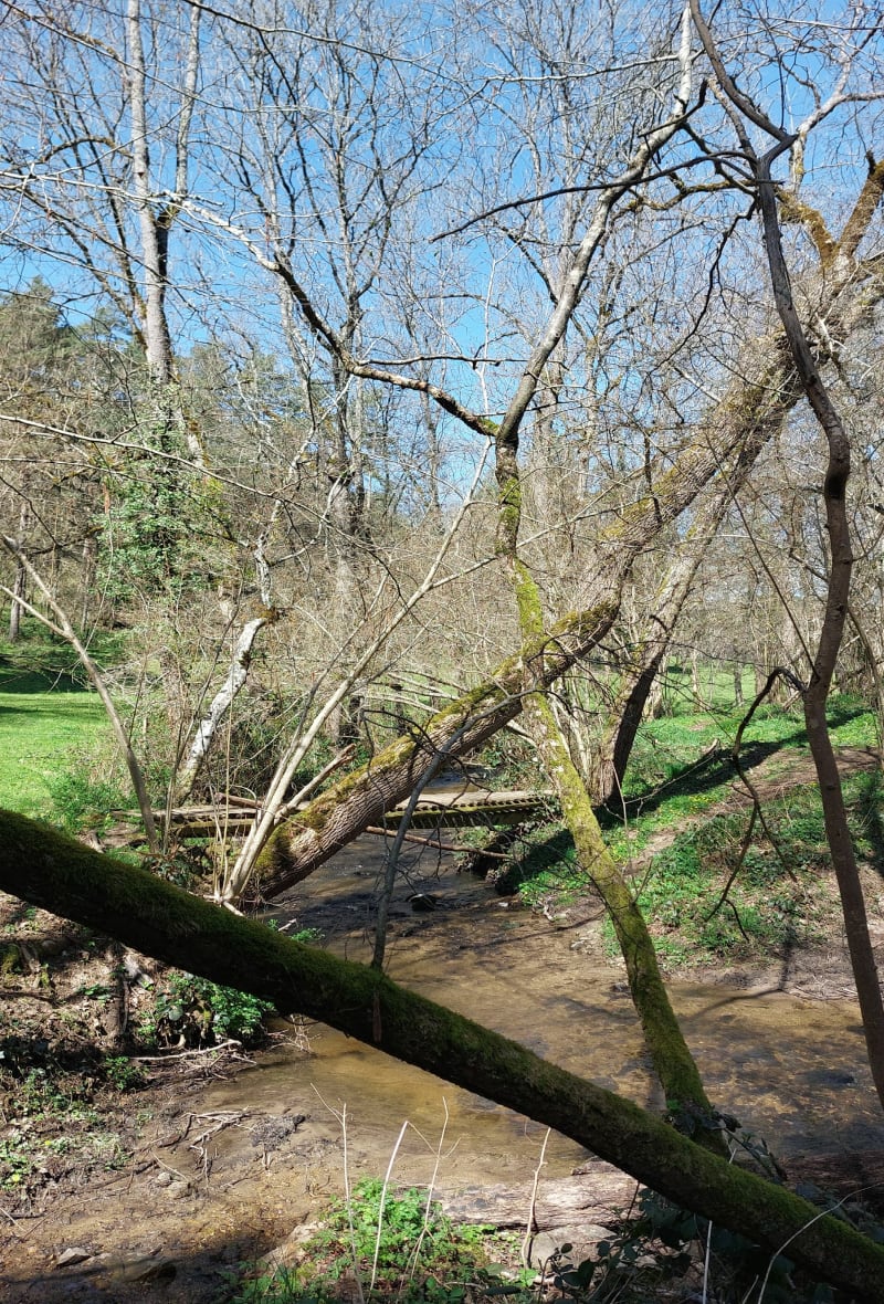 Rando VTT autour de Montbridon, par Golf des Etangs - Montbrison
