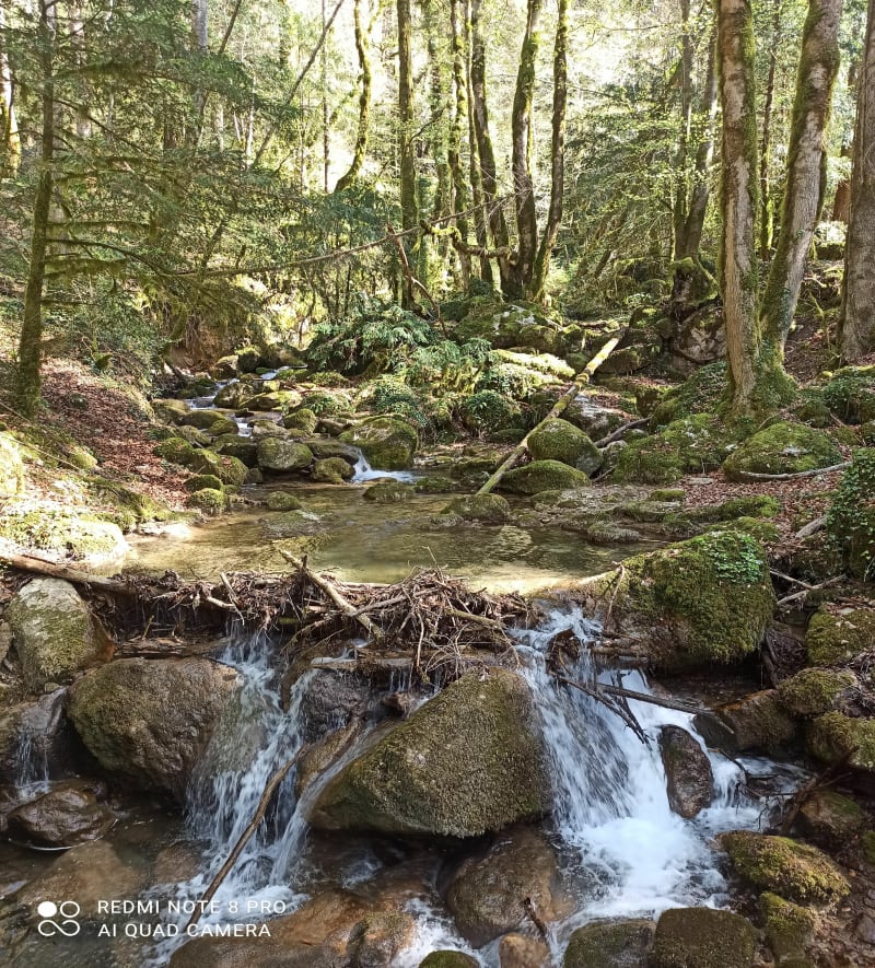 Randonnée la rivière le Cuchet - La Rivière