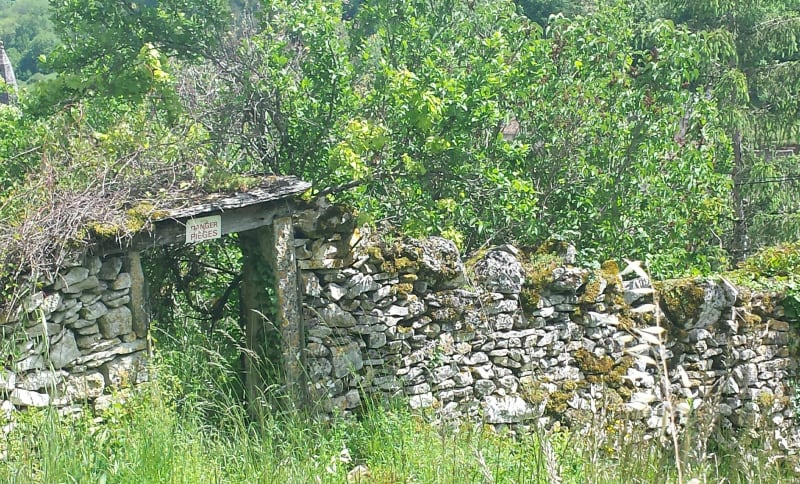 Boucle dans la forêt de Giroussens, par la Bonde - Giroussens