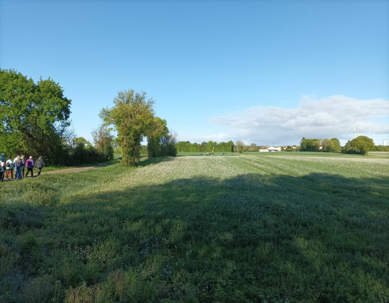 Autour de Bignay - Bignay