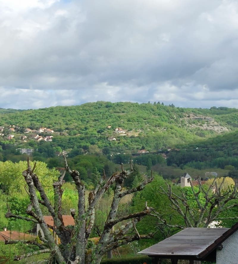 Balade au cœur des noyers du Périgord à Lanzac - Lanzac