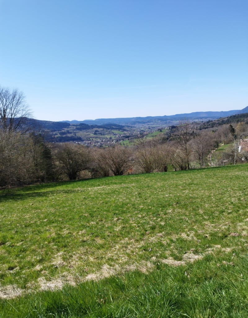 Sur les hauts de Mandray - Mandray