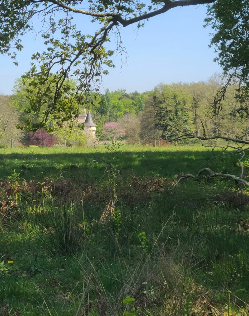 Entre le château Olivier et le parc de la châtaigneraie - Léognan