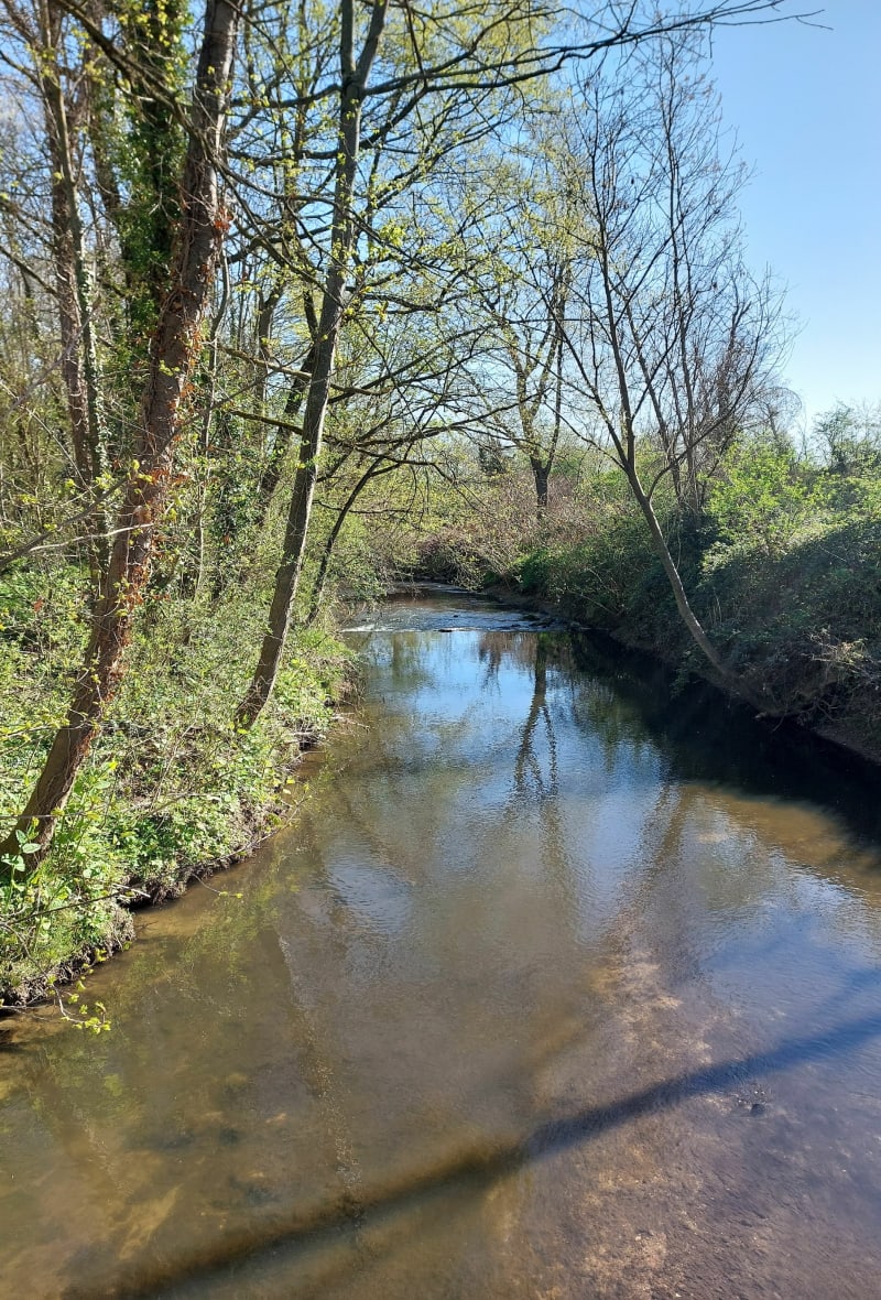 Randonnée VTT autour de Savigneux, par Montrouge - Montbrison