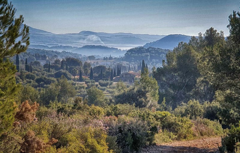 Du Beausset, Garrigue Provençale et panorama époustouflant, par le Vallon Marseillais - Le Beausset