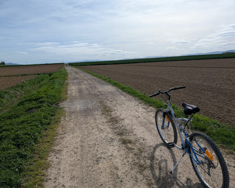 Balade familiale en vélo à travers les champs - Chaleins