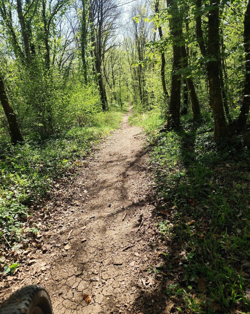 Boucle autour de Moutiers et le Fays - Moutiers