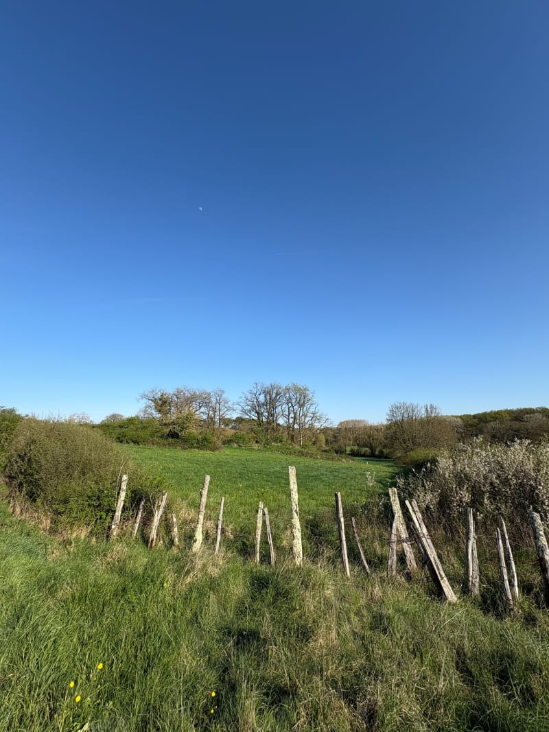 Entre Artannes et Monts - Artannes-sur-Indre