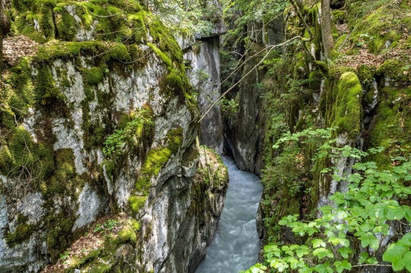 Randonnée gorges des Tines : vue sur le cours d'eau entre deux falaises recouvertes de mousse