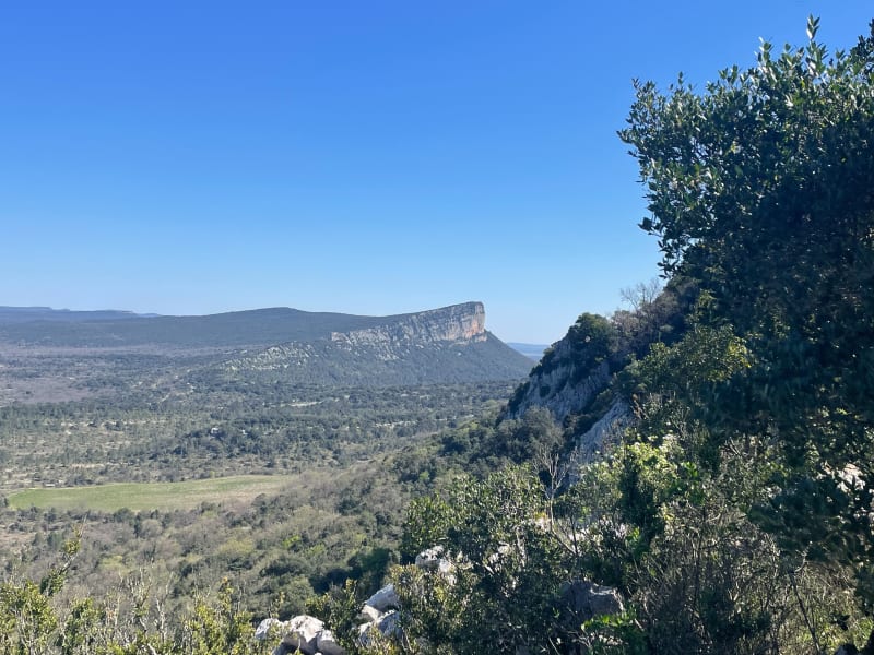 Autour de Cazevieille : lac de la Jasse et vue Pic St Loup - Cazevieille