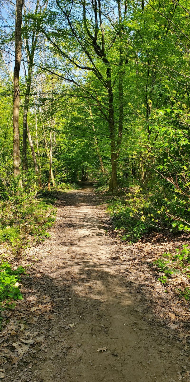 Balade à St Cucufa - Rueil-Malmaison