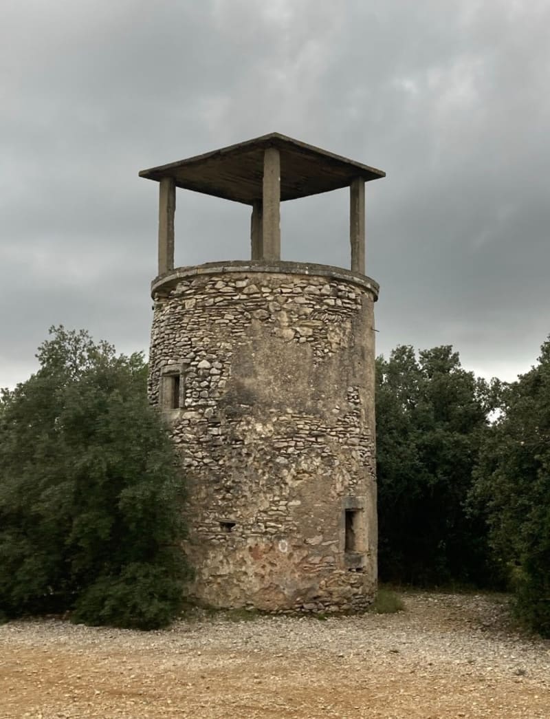 Garrigue Courbessac et Bois de Nice - Nîmes