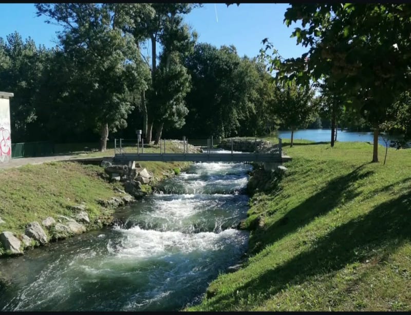 Balade le long du fleuve Charente ( Cognac -Jarnac ) - Cognac