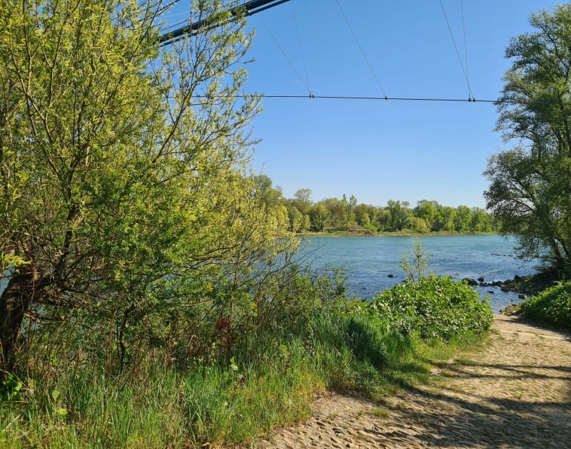 Rhône Campvillard - Irigny