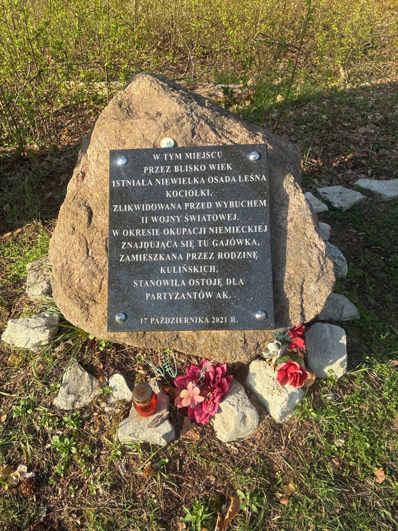 Las Brodziaki - Biłgoraj