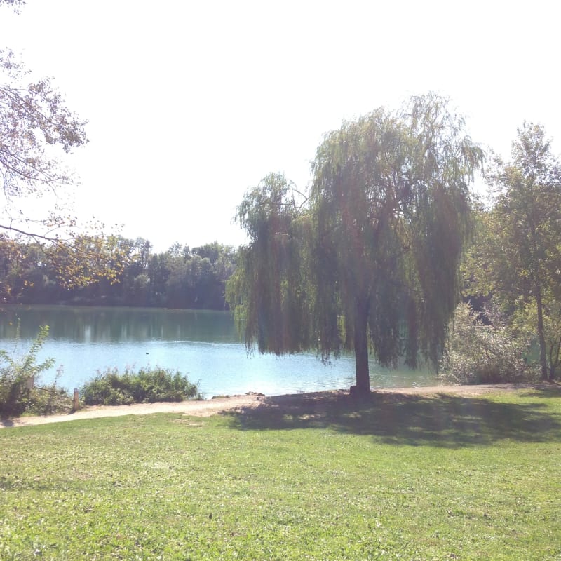 Tour dans l’Albanais - Rumilly