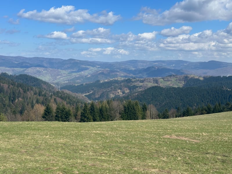 Radziejowa - Piwniczna-Zdrój