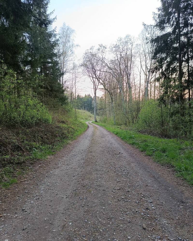 Karolewo Gierłoż Kwiedzina Karolewo - Karolewo