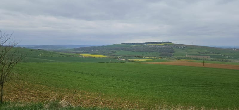 Balade sur les hauteurs de Belleau ! - Belleau