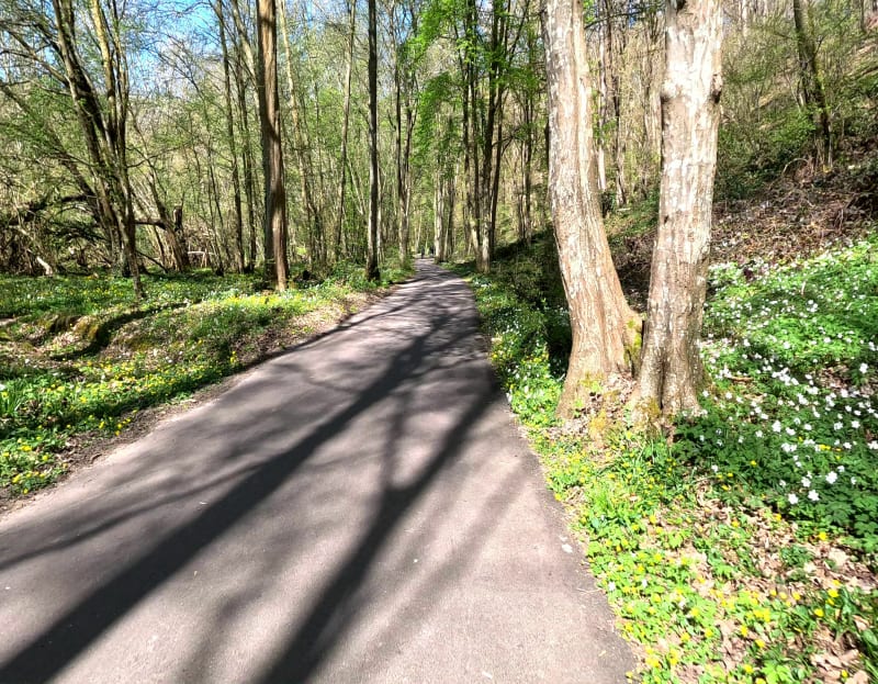 Forêt St Michel et voie verte - Évreux