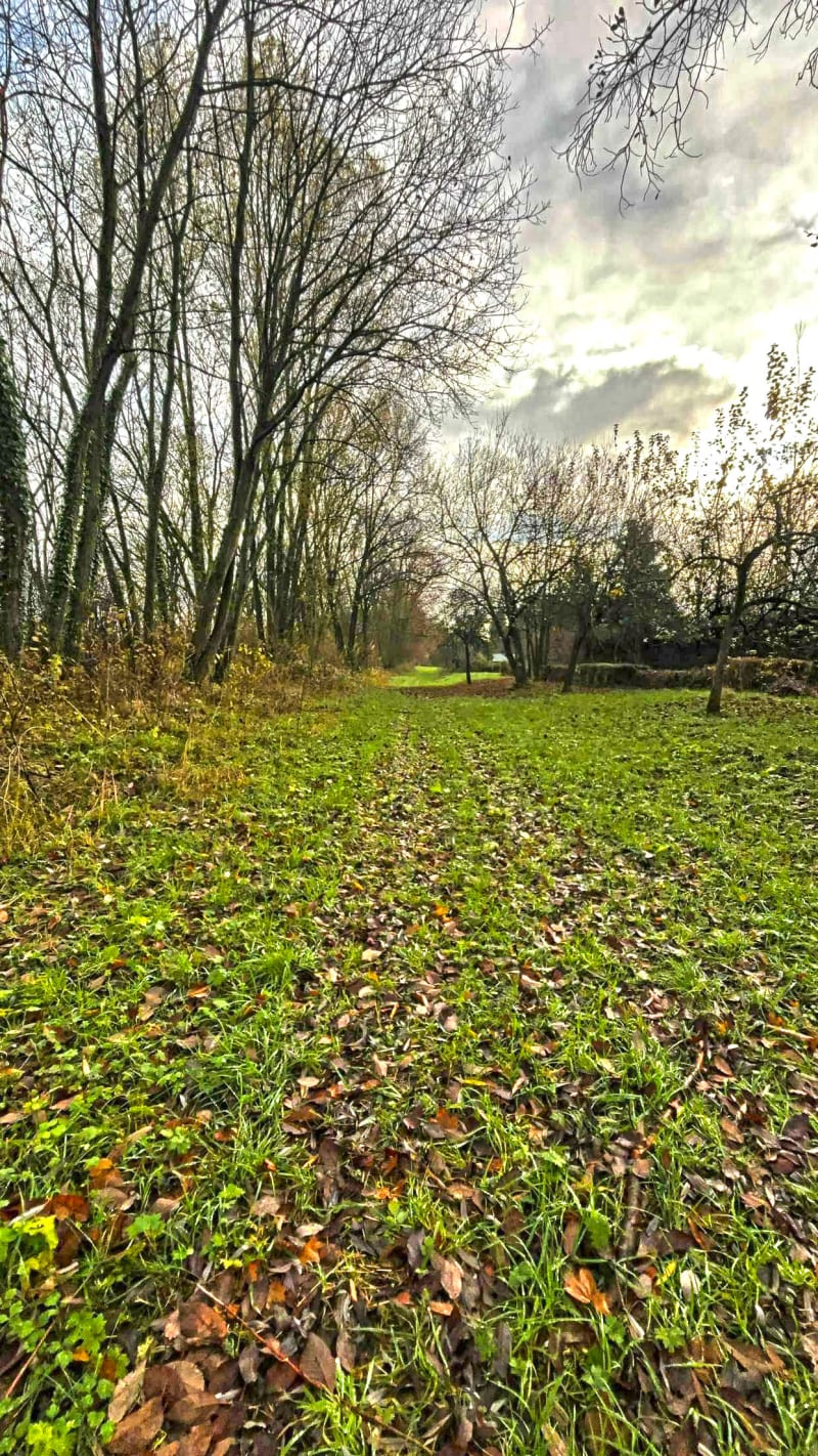 Bois de Saint-Michel et Maison forestière du Quartier à VTT - Saint-Michel