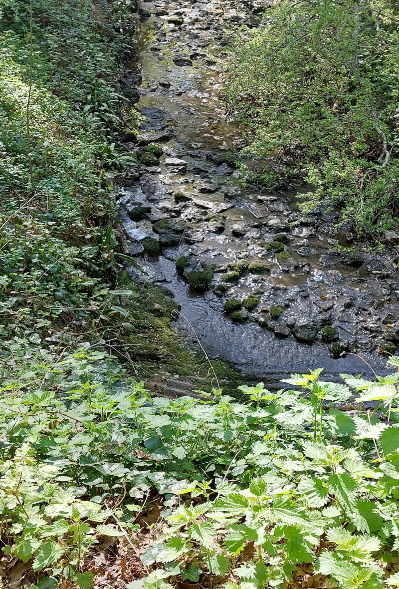 Sur les hauteurs autour des étangs de la Minière - Guyancourt