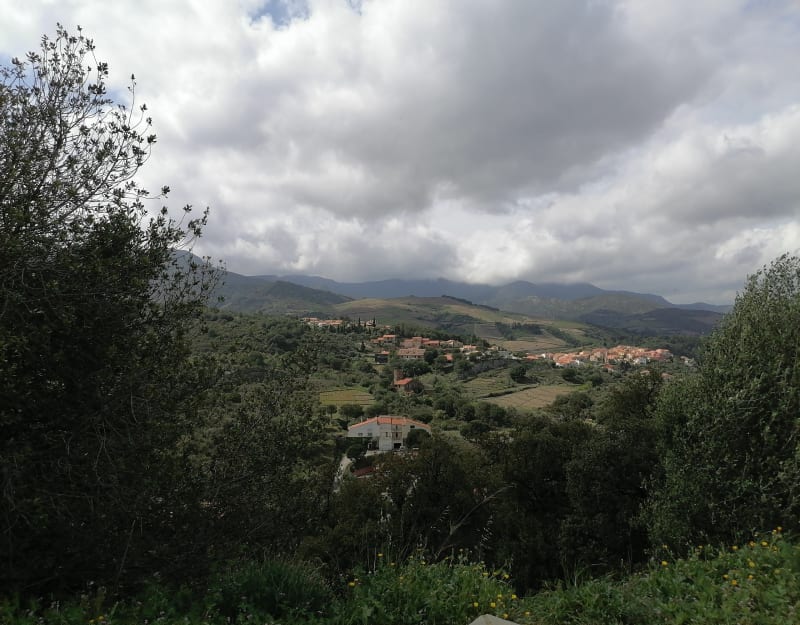 Banyuls-sur-Mer par Le Séris - Banyuls-sur-Mer