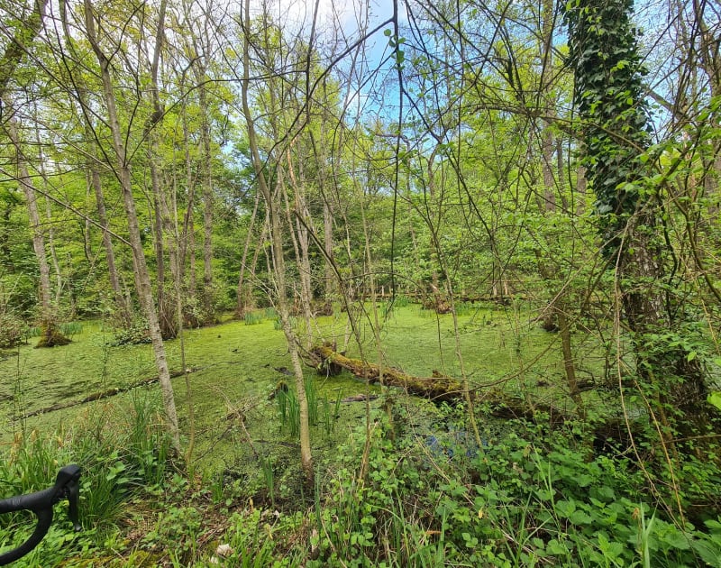 Tour par Abbaye de Citeaux - Saint-Philibert
