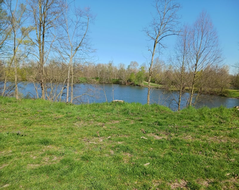 Gravieres aux oiseaux Cornillon - Mably