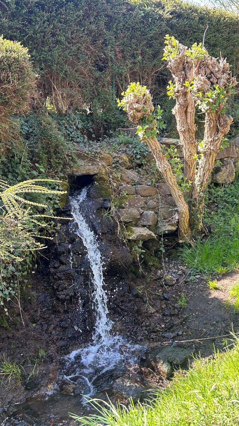 Plateau de la Bade - Blanzat