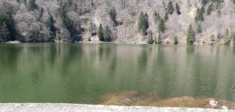 Lac des Perches par les lacs de Neuweiher - Saint-Maurice-sur-Moselle